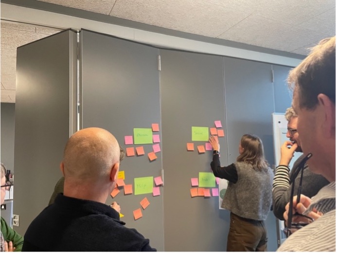 directed-project-Picture 2