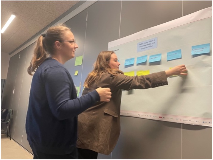 directed-project-Picture 3