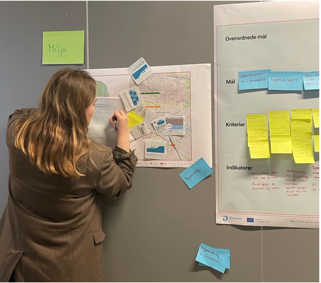 directed-project-Picture 5