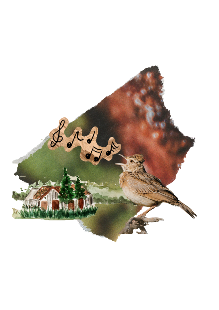 directed-project-image 1