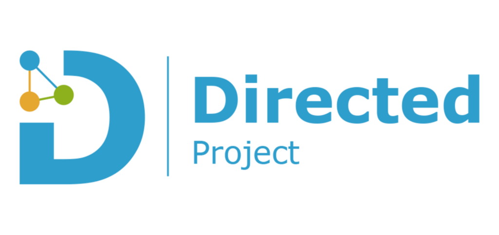 directed-project-image 4
